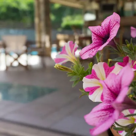 Aparthotel Venus Sidari (Corfu)